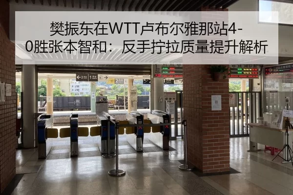 樊振东在WTT卢布尔雅那站4-0胜张本智和：反手拧拉质量提升解析