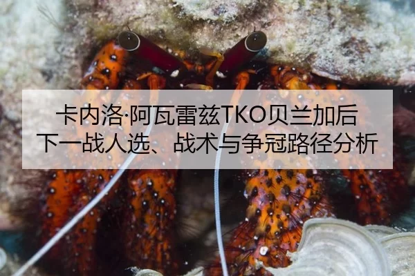 ka-nei-luo-a-wa-lei-zi-bei-lan-jia-hou-xia-yi-zhan-ren-xuan-zhan-shu-yu-zheng-guan-lu-jing-fen-xi-2-351.jpg